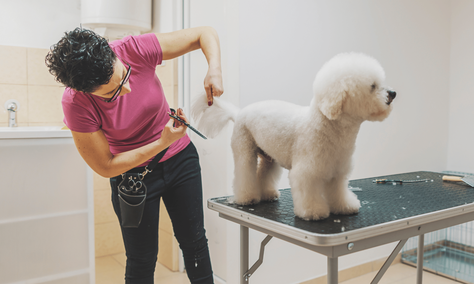 How to Start a Dog Grooming Business from Home