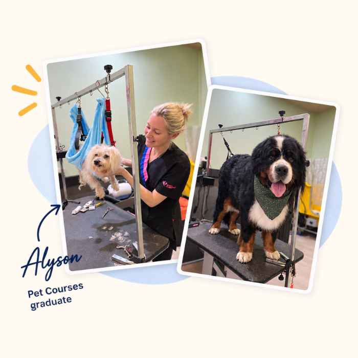Alyson - Pet Courses dog grooming graduate