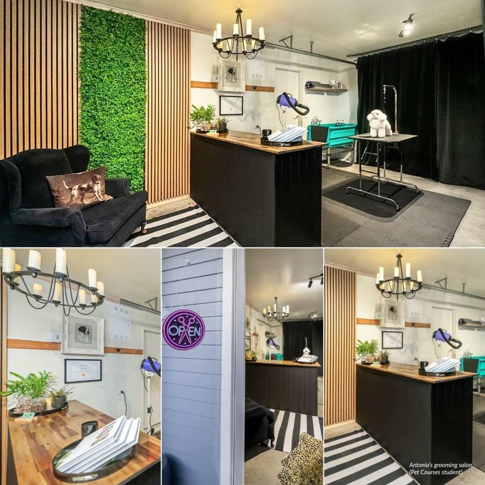 Dog grooming course student preview
