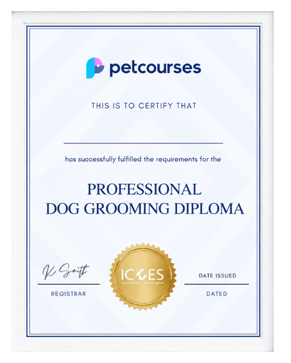 Pet Courses Professional Dog Grooming Diploma certificate