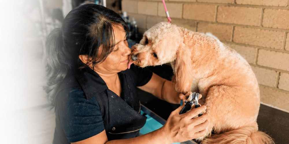 Pet Courses graduate practising dog grooming