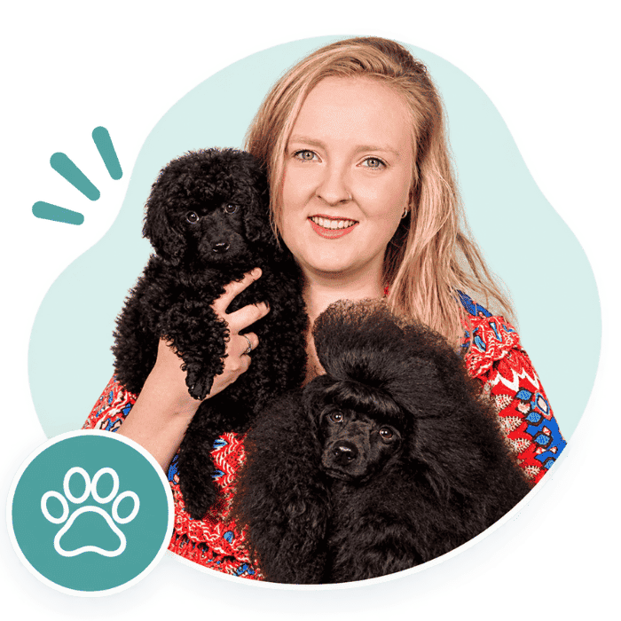 Hannah Grice - Pet Courses dog grooming mentor
