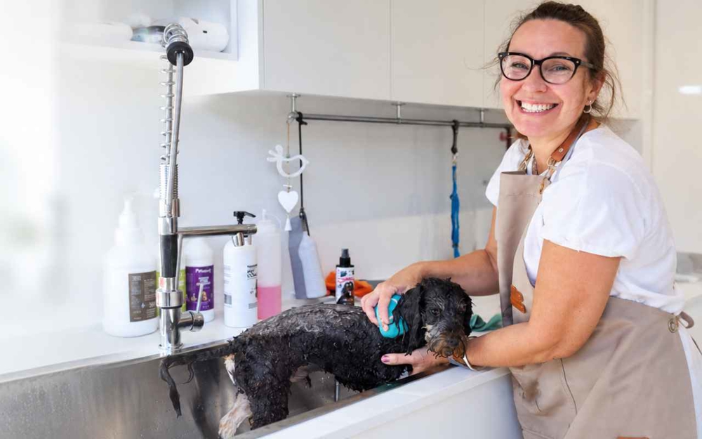 Kylie from Kylie's Home Dog Grooming