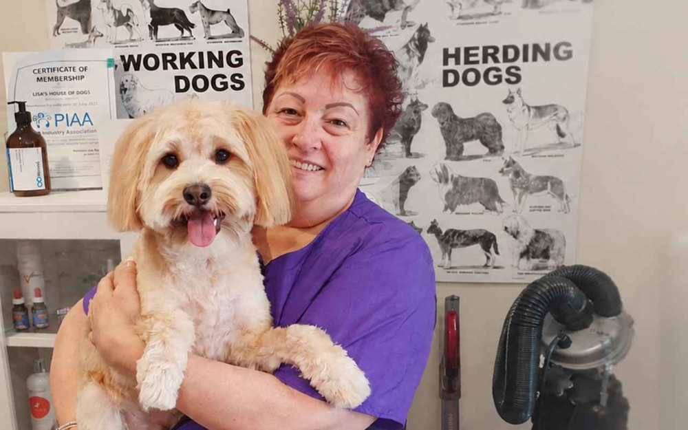 Lisa from Lisa's Home Dog Grooming