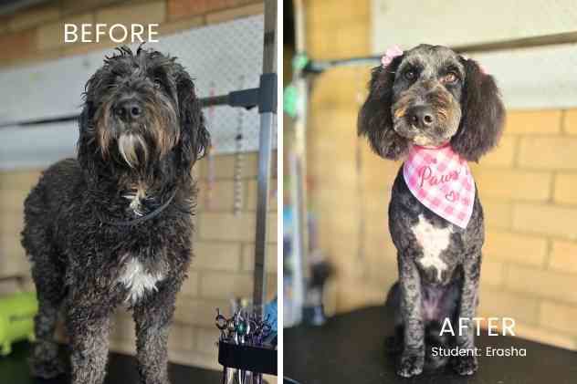 before and after Erasha
