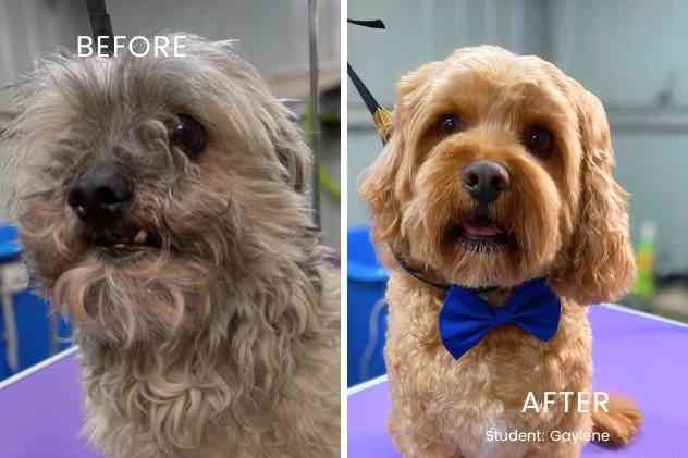 before and after Gaylene