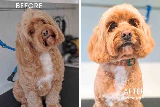 before and after Kylie