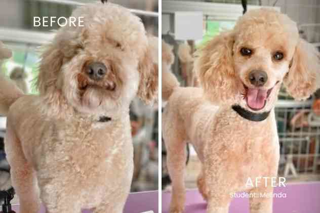 before and after Melinda