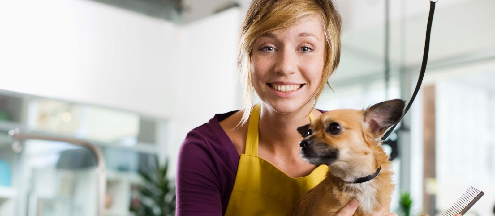 Turn your passion for animals into a rewarding and fulfilling career