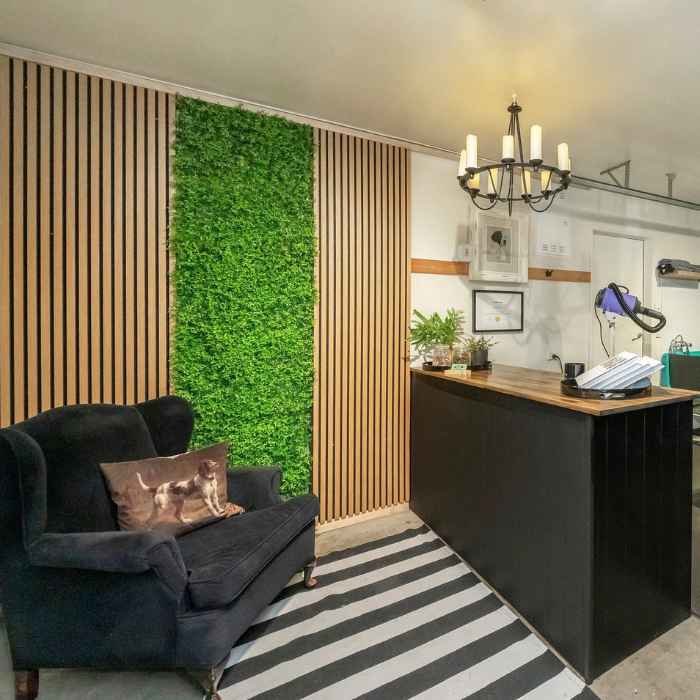 Antonia's home dog grooming salon