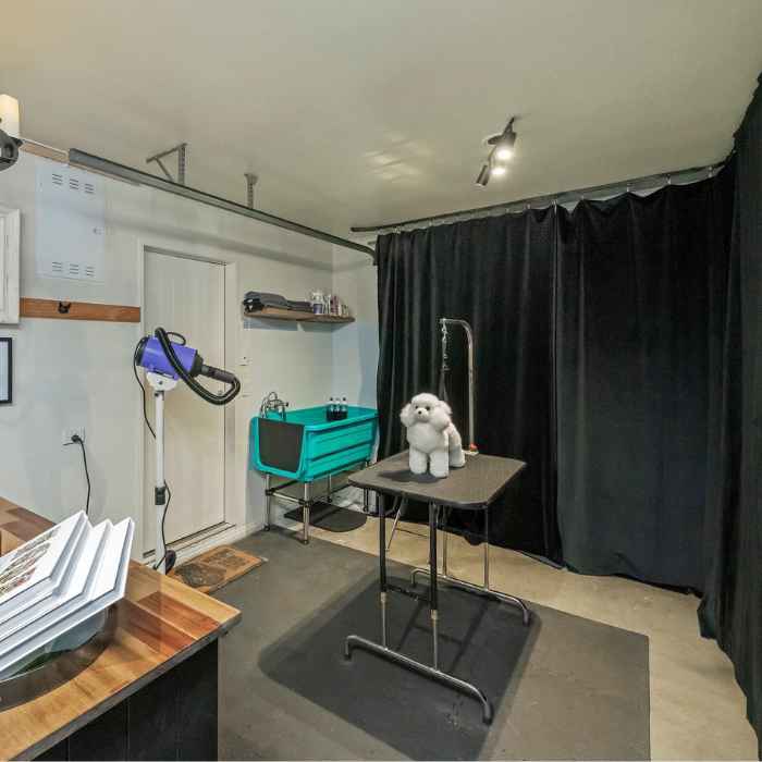 Dog grooming area inside Antonia's home salon