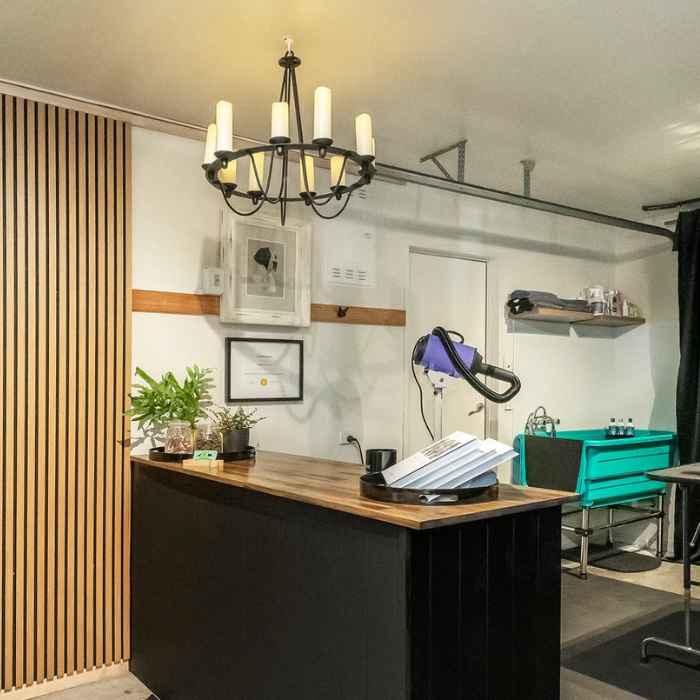 Antonia's home grooming salon setup