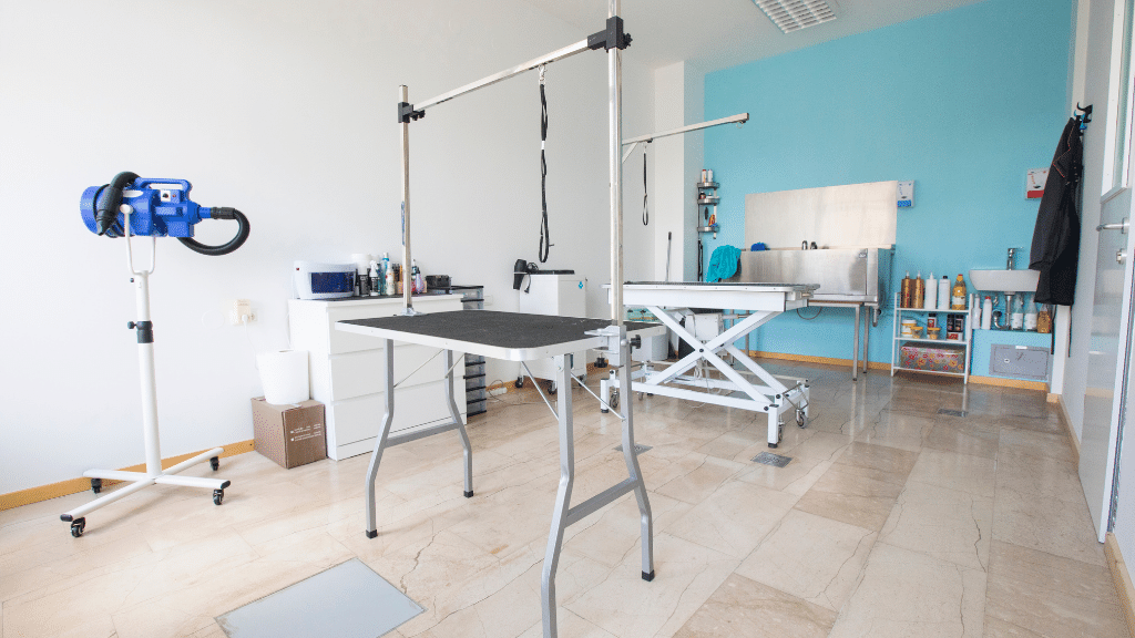 Explore Our BestSelling Online Dog Grooming Course Pet Courses Pet Courses