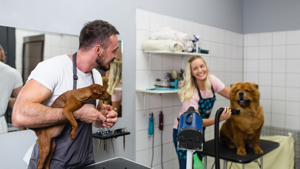 Specialists in Animal Care Courses Pet Courses